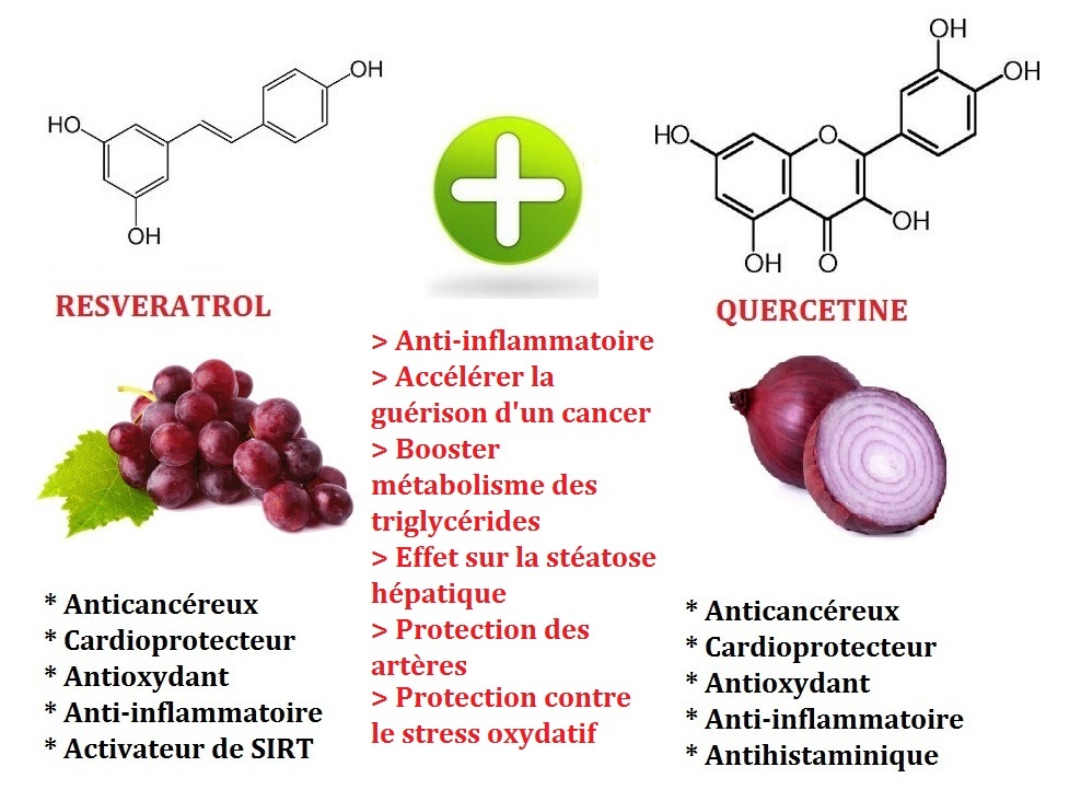 Association de Resvératrol et Quercétine